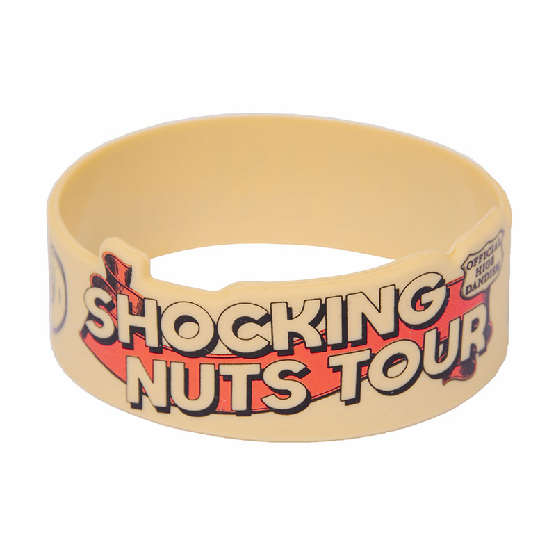 SHOCKING NUTS TOUR o[ohiSHOCKING NUTS TOURj